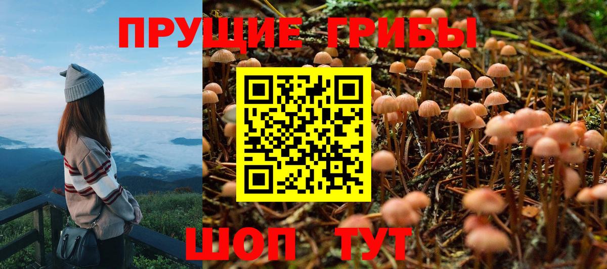 Анапа  Галлюциногенные грибы GOLDEN TEACHER  Вход с VPN 