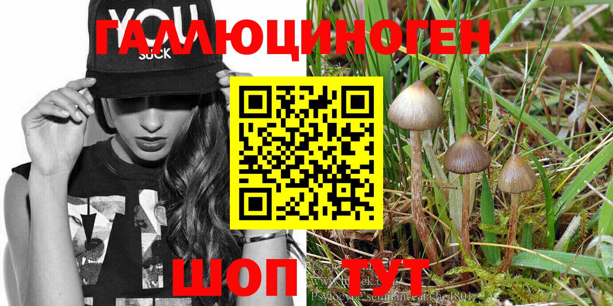 Псилоцибиновые грибы MAGIC MUSHROOMS Анапа